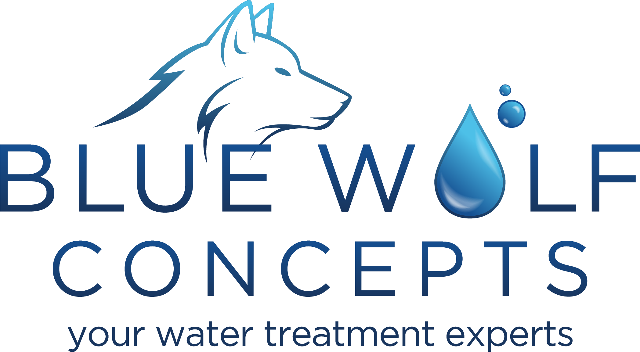 Blue Wolf Concepts